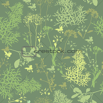 Seamless pattern of  silhouette various herbs.