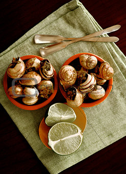 Snails with Garlic Butter
