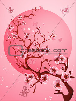 Beautiful Cherry blossom background. Spring nature scene