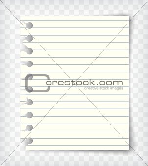 Blank lined note book page with torn edge