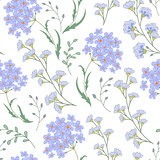 Cute vector seamless floral pattern with flowers and herbs.