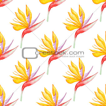 Pattern with tropical flowers