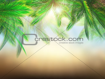 3D palm tree leaves against defocussed background