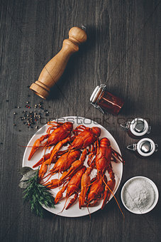 Boiled big red fresh crayfish in white plate with green herbs.