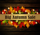 autumn special sale poster isolated