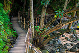 A footpath in tropical places of Thailand, Krabi