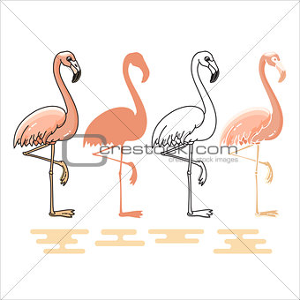 Vector illustration of Flamingo silhouettes set.