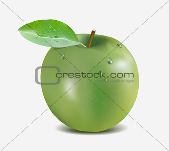 Green apple with water drops - Gradient Mesh vector illustration
