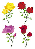 colored roses vector