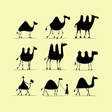Camel set, sketch for your design