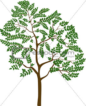 isolated cartoon tree, vector illustration