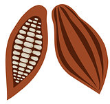 Vector Cocoa Beans