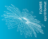Vector illustration of flower