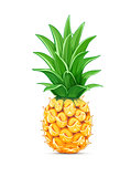 Pineapple with green leaf. Tropical fruit.