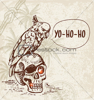 Skull and pirate parrot