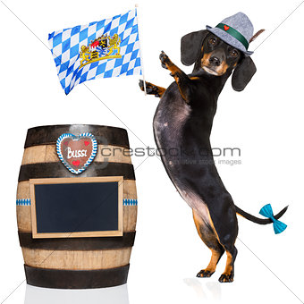 bavarian beer dog 