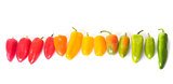 colorful sweet pepper in studio