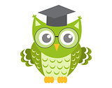 Owl in glasses with square academic cap icon, flat, cartoon style. Isolated on white background. Vector illustration.
