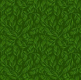 Herbs seamless pattern. Dill endless background, texture. Vegetable backdrop. Vector illustration.