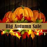 autumn special sale poster on wood background