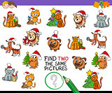 find identical pictures activity with Xmas pets