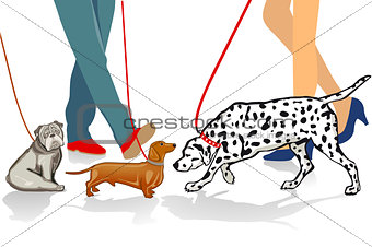 Walk with dog illustration