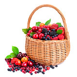 Fresh berries in basket isolated on white