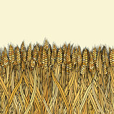 abstract vector cartoon doodle wheat seamless pattern