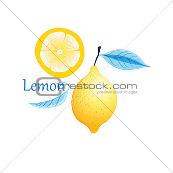 Vector fruit yellow lemon