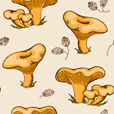 Pattern with forest mushrooms