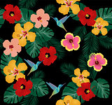 Hummingbird and flowers