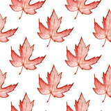 Pattern with red maple leaves