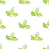 Pattern with green leaves
