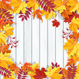 Autumn festival background. Invitation banner with fall leaves. Vector illustration