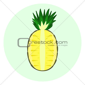Half pineapple icon, pineapple split in a half