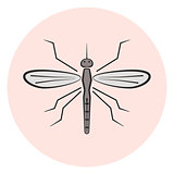 Outline mosquito icon