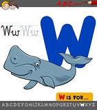 letter w with cartoon whale animal