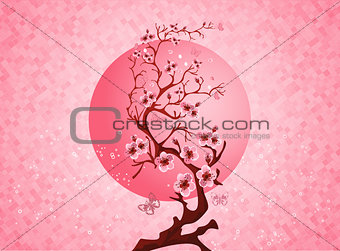 Cherry blossom spring nature scene