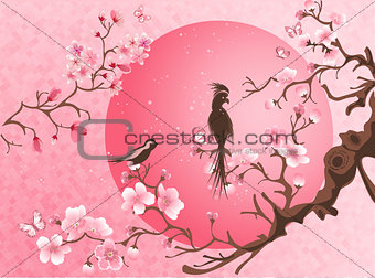 Cherry blossom tree with two bird.