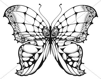 Butterfly black and white drawing