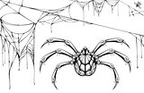 Scary black and white spider and torn web. Halloween symbols and accessories