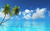 3D tropical landscape with palm trees