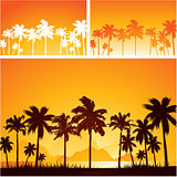 Summer sunset background with palm trees