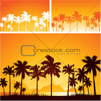 Summer sunset background with palm trees