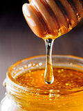 Honey dripping from honey-dipper close up