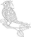 Fantasy bird. hand drawn doodle. Sketch for adult antistress coloring page