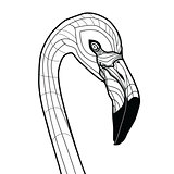 Bird head flamingo tattoo vector illustration isolated on white background sketch design for T-shirts