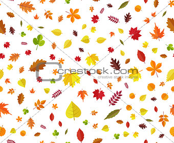 autumn leaves seamless background