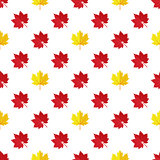 Vector seamless pattern with various colorful autumn leaves on a white background.