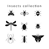 Vector set of different insects